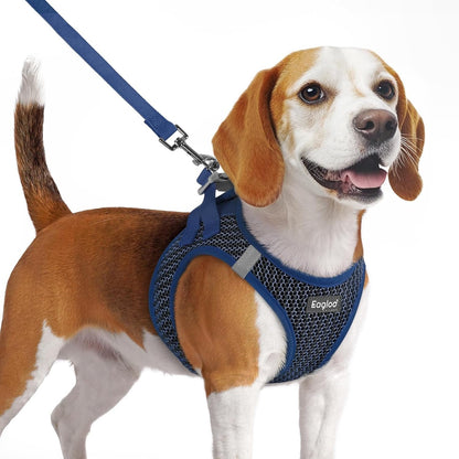 Eagloo Small Dog Harness and Leash Set, Step in Small Sized Puppy Pet Vest | Light, Soft, Breathable Air Mesh, Easy on and off with Hook & Loop, Reflective for Safe Walking, Pink, S47
