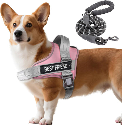 AUROTH Dog Harness and Leash Set, Soft Padded Service Dog Vest with 5.25FT Dog Leash, No Choke, Easy on Pet Vest, Adjustable Reflective No Pull Pet Vest Medium Sized Dog, Easy Walking and Training12