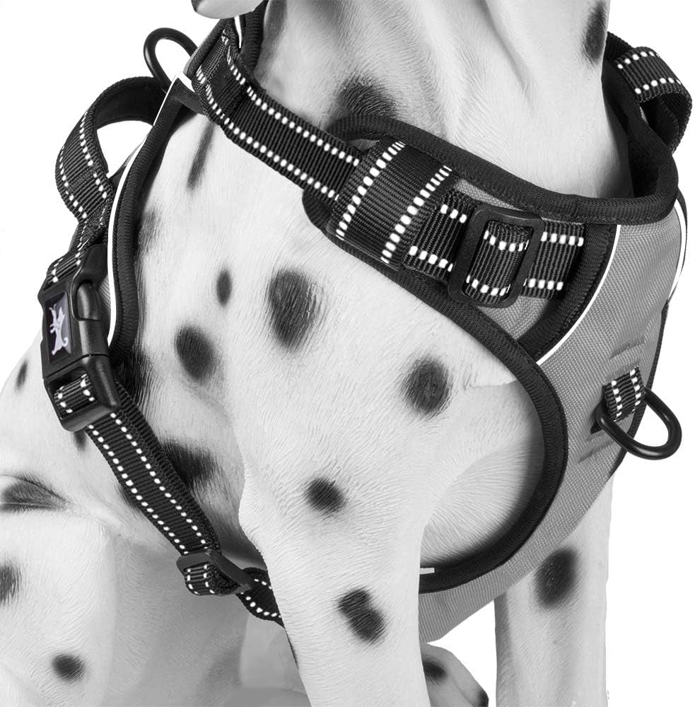 poypet-no-pull-dog-harness-reflective-comfortable-vest-harness-with-front-back-2-leash-attachments-and-easy-control-handle-adjustable-soft-padded-pet-vest-for-small-medium-large-dogs-mint-blue-m