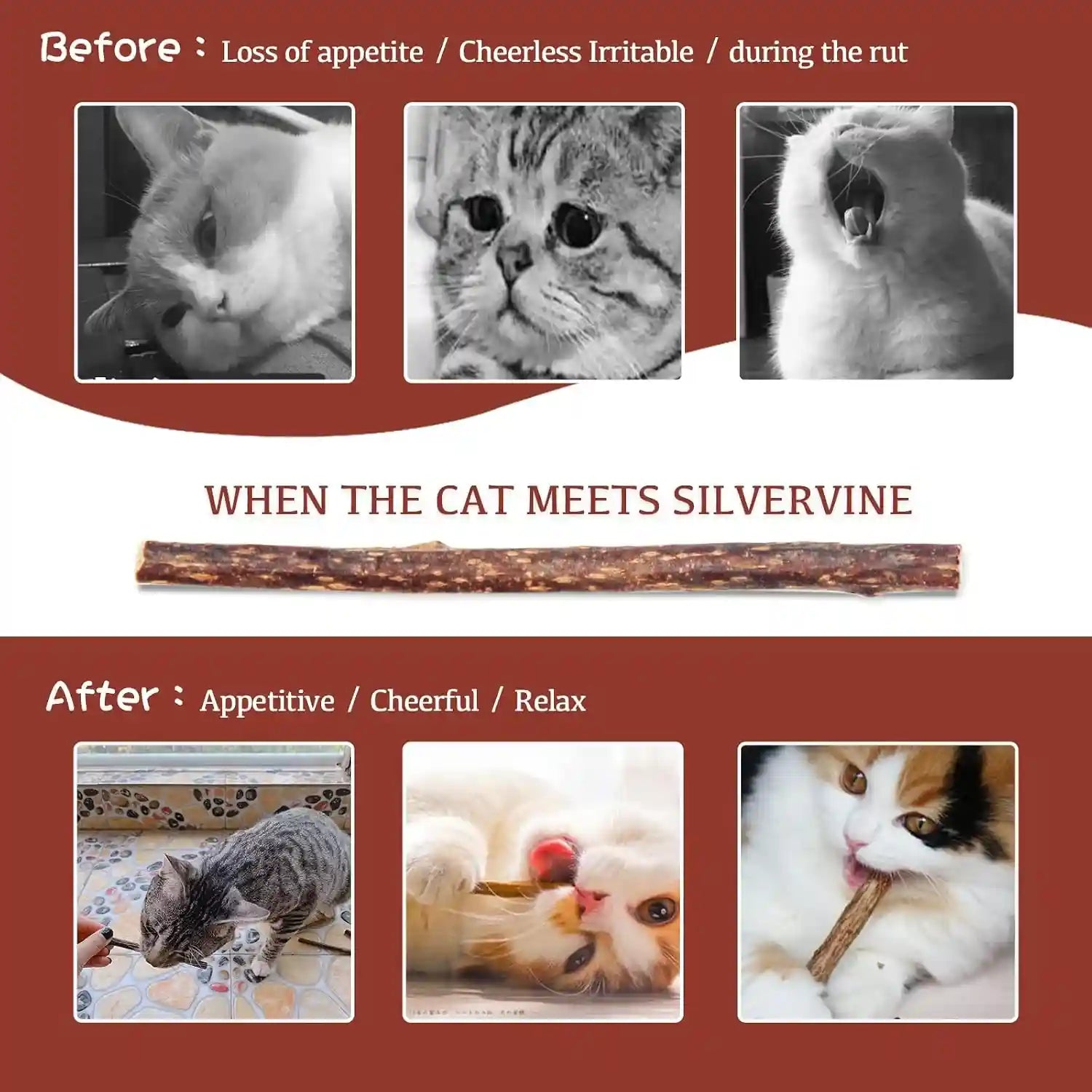 silvervine-sticks-for-cats-30pcs-kitten-toys-catnip-toys-matatabi-silvervine-sticks-kitty-chew-toys-wooden-stick-kitten-teething-toys-molar-suitable-for-cats-of-all-ages