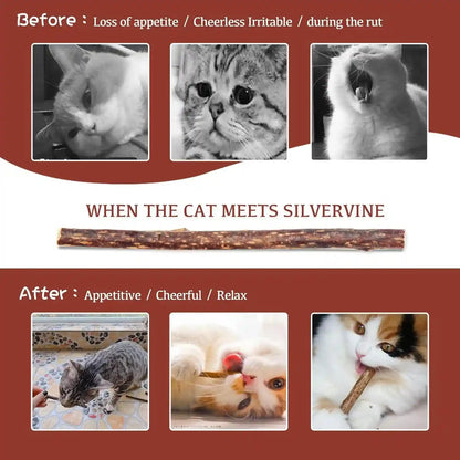 Silvervine Sticks for Cats, 30PCS Kitten Toys Catnip Toys Matatabi Silvervine Sticks Kitty Chew Toys Wooden Stick Kitten Teething Toys Molar Suitable for Cats of All Ages5