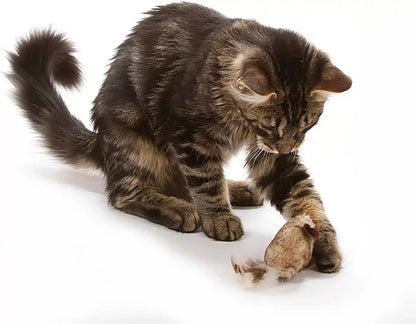 Ourpets Play-N-Squeak Twice the Mice Cat Toy, 2 Piece Set, Catnip Filled | Real Mouse Sound Effect, Electronic Squeaker Inside, Sparks Hunting Instinct, Engaging Design, for Indoor Felines Every Day2