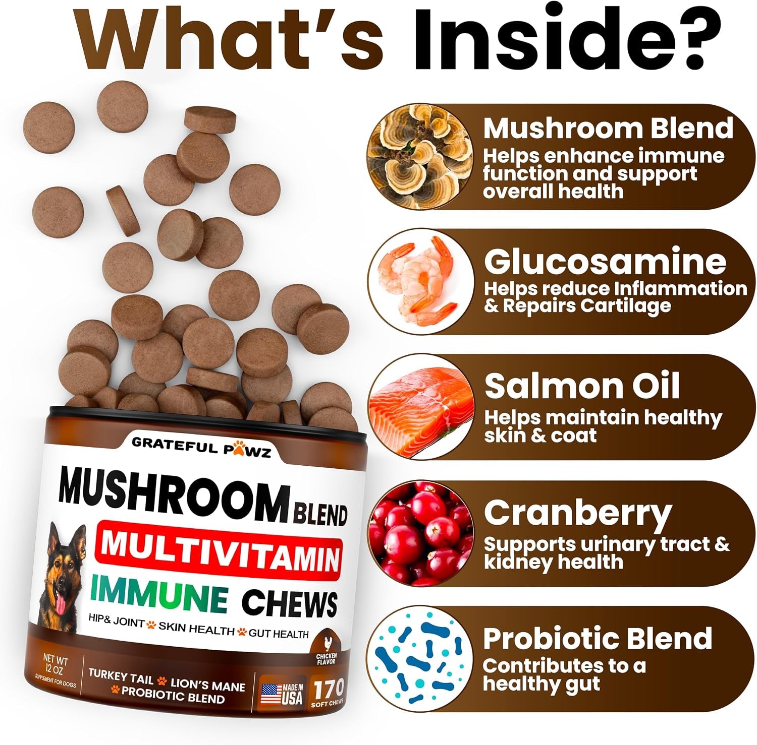 turkey-tail-mushroom-supplement-for-dogs-170-chews-mushrooms-for-dogs-reishi-lion-s-mane-glucosamine-multivitamin-immune-booster-gut-hip-joint-health-support-vitamins-energy-skin