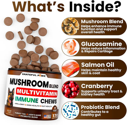 Turkey Tail Mushroom Supplement for Dogs - 170 Chews - Mushrooms for Dogs - Reishi, Lion’S Mane, Glucosamine Multivitamin - Immune Booster, Gut, Hip & Joint Health Support Vitamins, Energy & Skin2