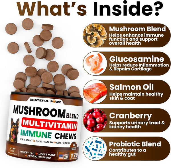 Turkey Tail Mushroom Supplement for Dogs - 170 Chews - Mushrooms for Dogs - Reishi, Lion’S Mane, Glucosamine Multivitamin - Immune Booster, Gut, Hip & Joint Health Support Vitamins, Energy & Skin2