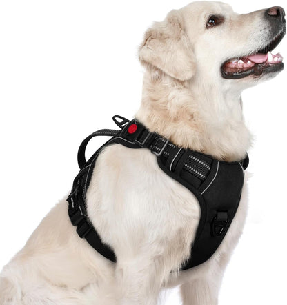 Rabbitgoo Large Dog Harness, Easy Wear with 3 Buckles and Lift Handle | No Pull with Front Clip for Walking, Adjustable Soft Padded, Reflective, Easy Control, Pink, Large33