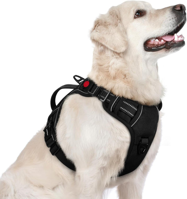 Rabbitgoo Large Dog Harness, Easy Wear with 3 Buckles and Lift Handle | No Pull with Front Clip for Walking, Adjustable Soft Padded, Reflective, Easy Control, Pink, Large33