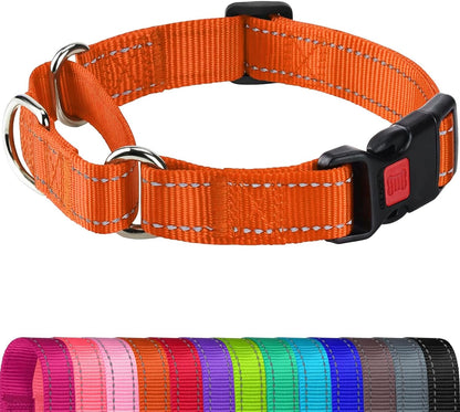 Joytale Martingale Collar for Dogs, Escape Proof No Pull, Hotpink, M | Gentle Cinch Stops Pulling without Choking, Safety Lock Buckle, Reflective Stitching for Night Walks, Soft Nylon8