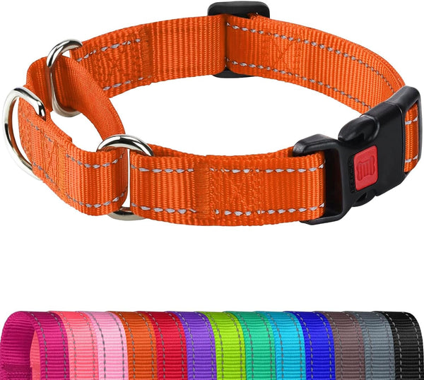 Joytale Martingale Collar for Dogs, Escape Proof No Pull, Hotpink, M | Gentle Cinch Stops Pulling without Choking, Safety Lock Buckle, Reflective Stitching for Night Walks, Soft Nylon8
