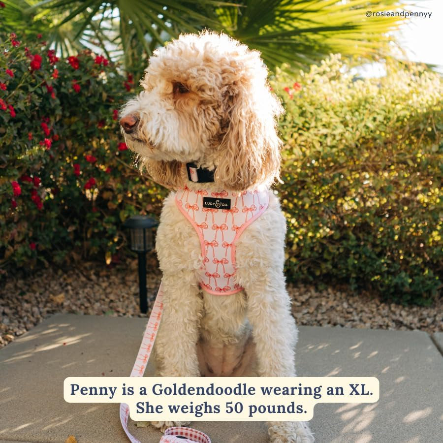 lucy-co-reversible-dog-harness-water-repellent-neoprene-dual-print-design-easy-swap-style-adjustable-comfort-fit-take-a-bow-reversible-harness-small