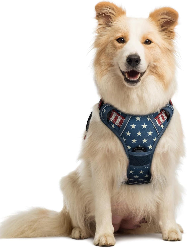Rabbitgoo Dog Harness, No Pull for Large Dogs with 2 Leash Clips, Pet Vest | No Choke with Handle, Adjustable Soft Padded, Reflective, Easy Control for Walking, Black, Large150