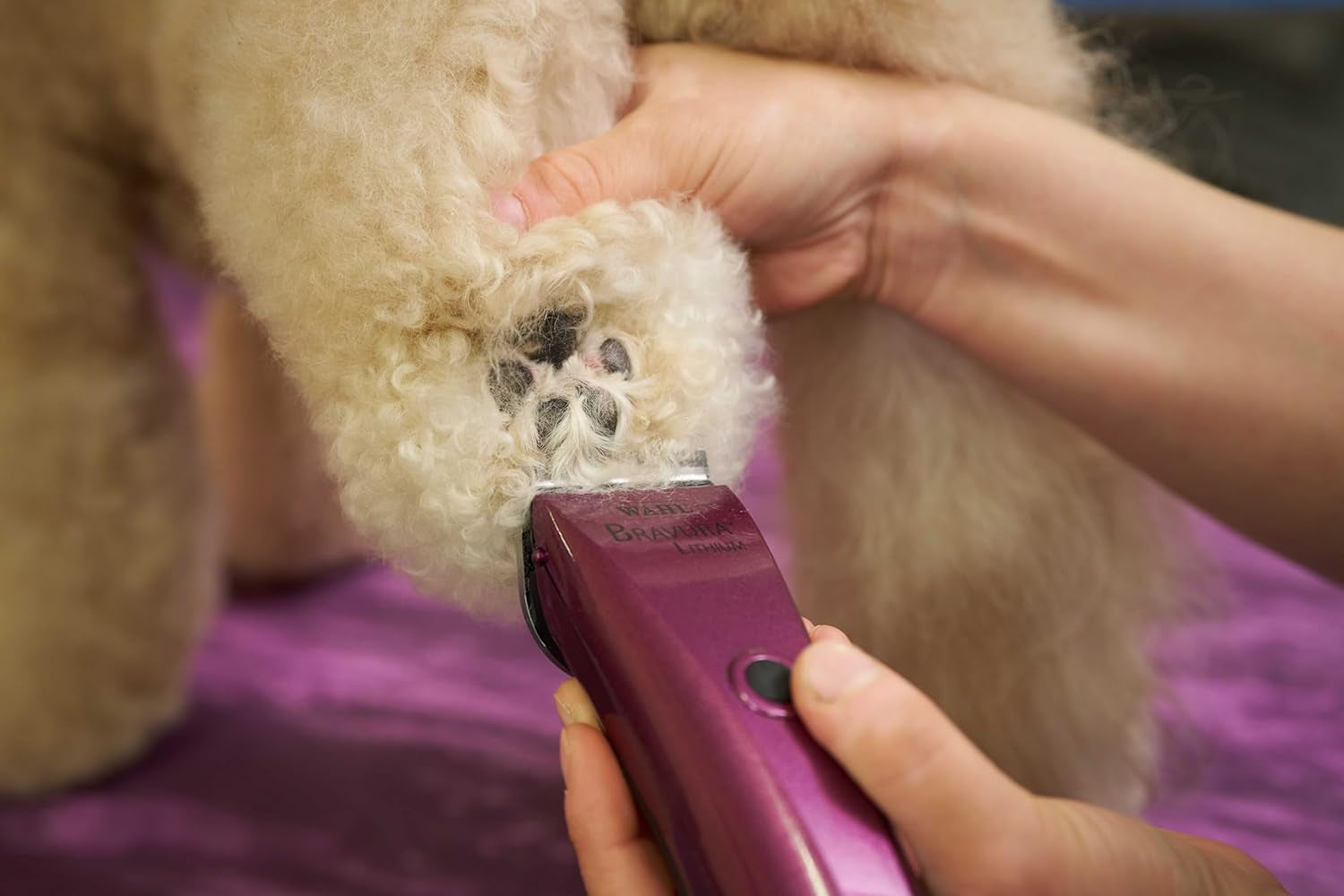 wahl-professional-animal-bravura-pet-dog-cat-and-horse-corded-cordless-clipper-kit-purple-41870-0423