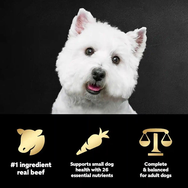 Cesar Small Breed Dry Dog Food, Filet Mignon & Spring Vegetables, 12 Lb | Made in USA, Real Beef #1 Ingredient, 26 Essential Nutrients, Supports Small Breed Health, No Artificial Flavors6