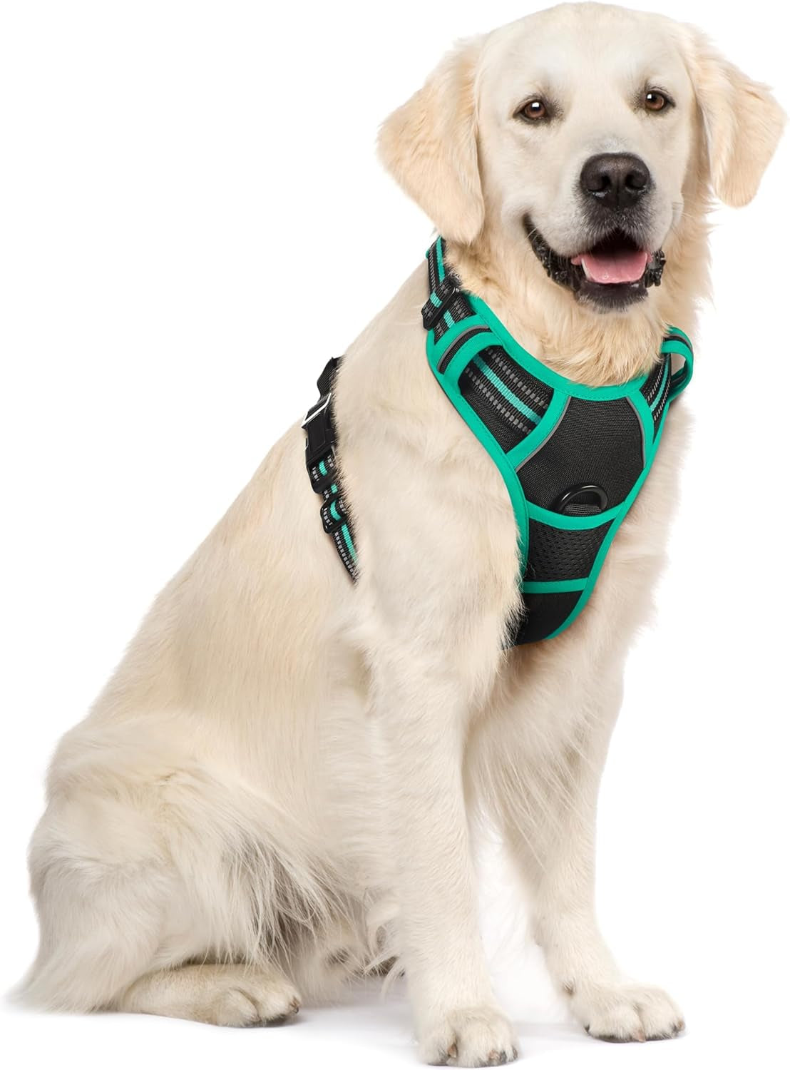 rabbitgoo-dog-harness-no-pull-for-large-dogs-with-2-leash-clips-pet-vest-no-choke-with-handle-adjustable-soft-padded-reflective-easy-control-for-walking-black-large