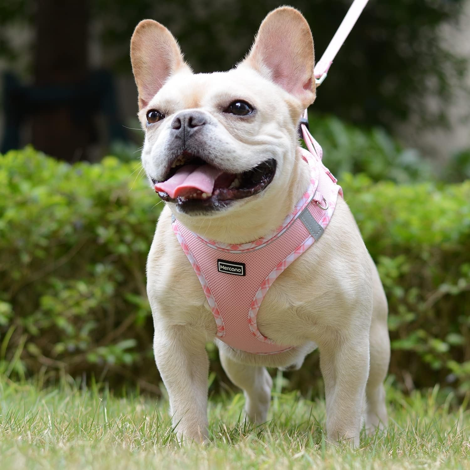 mercano-soft-mesh-dog-harness-and-leash-set-step-in-reflective-breathable-lightweight-vest-harnesses-with-safety-buckle-for-small-dogs-cats-pink-s
