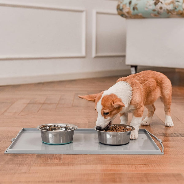PEGGY11 Deep Stainless Steel Anti-Slip Dog Bowls - 2-Pack, 3 Cups7