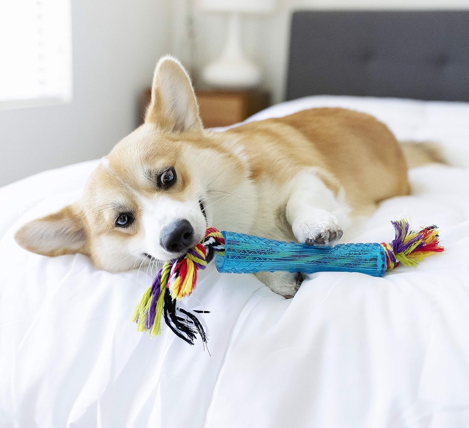 petstages-orka-stick-alternative-dog-chew-toy