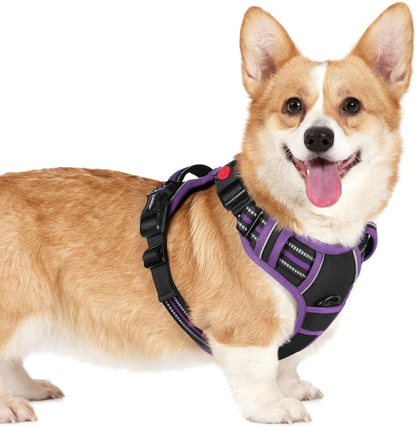 Rabbitgoo Dog Harness Medium Sized, Updated Easy on & off with 3 Buckles | No Pull No Choke, Walking with 2 Clips and Handle, Adjustable Soft Reflective, Blue, Medium67