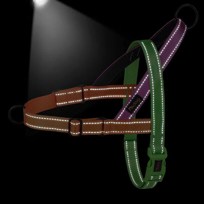 Didog No Pull Dog Harness for Large Dogs, Soft Padded Handle, Green, L | Quick Fit, Easy on and Off, Front Adjustable, Lightweight Vest, Colorful Reflective Strips, Easy for Walking and Training4