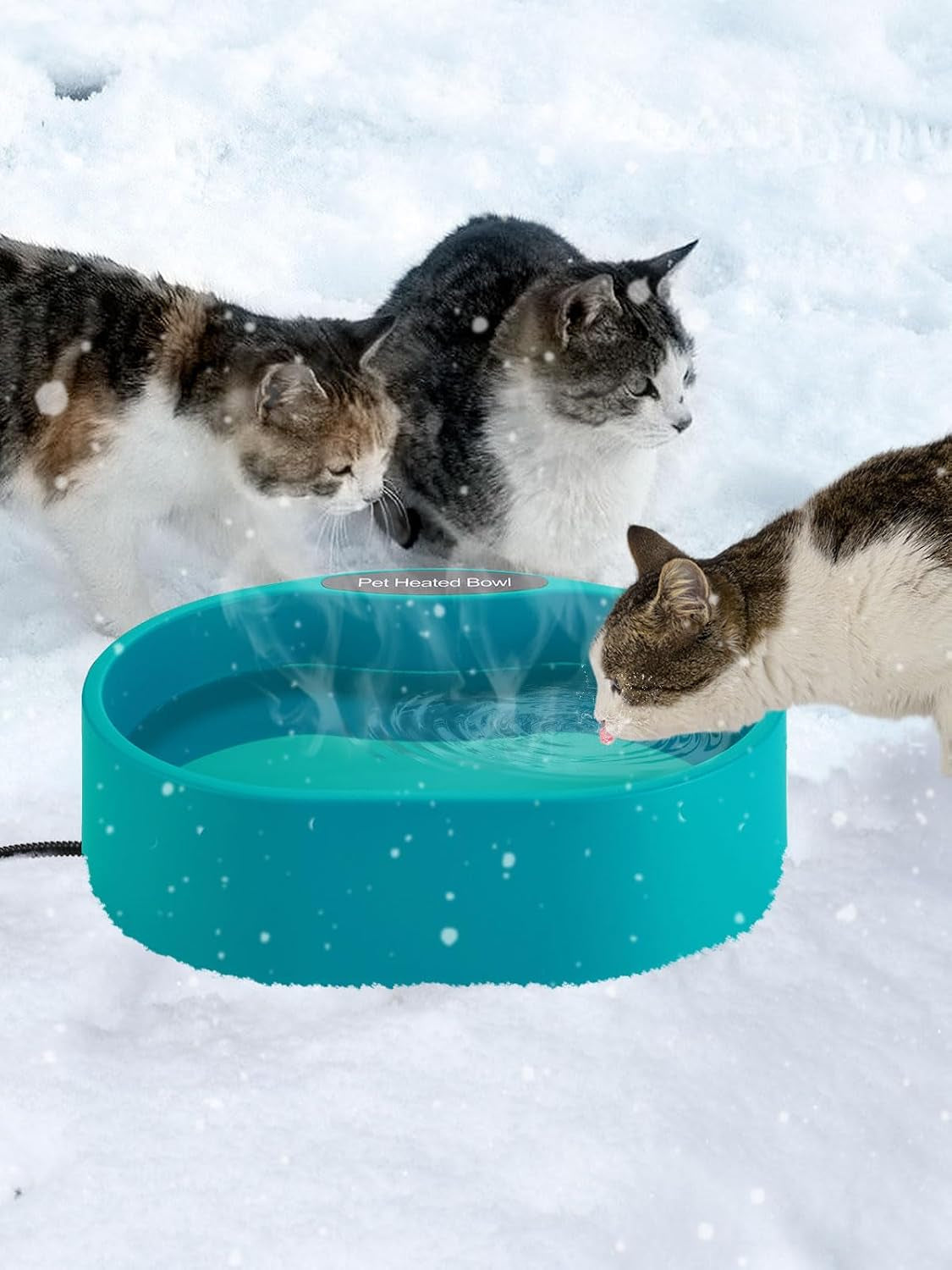 3-7l-heated-water-bowl-for-outdoor-dogs-cats-30w-thermostatic-control-heating-pet-bowl-with-6-6ft-bite-proof-cord-for-winter-chickens