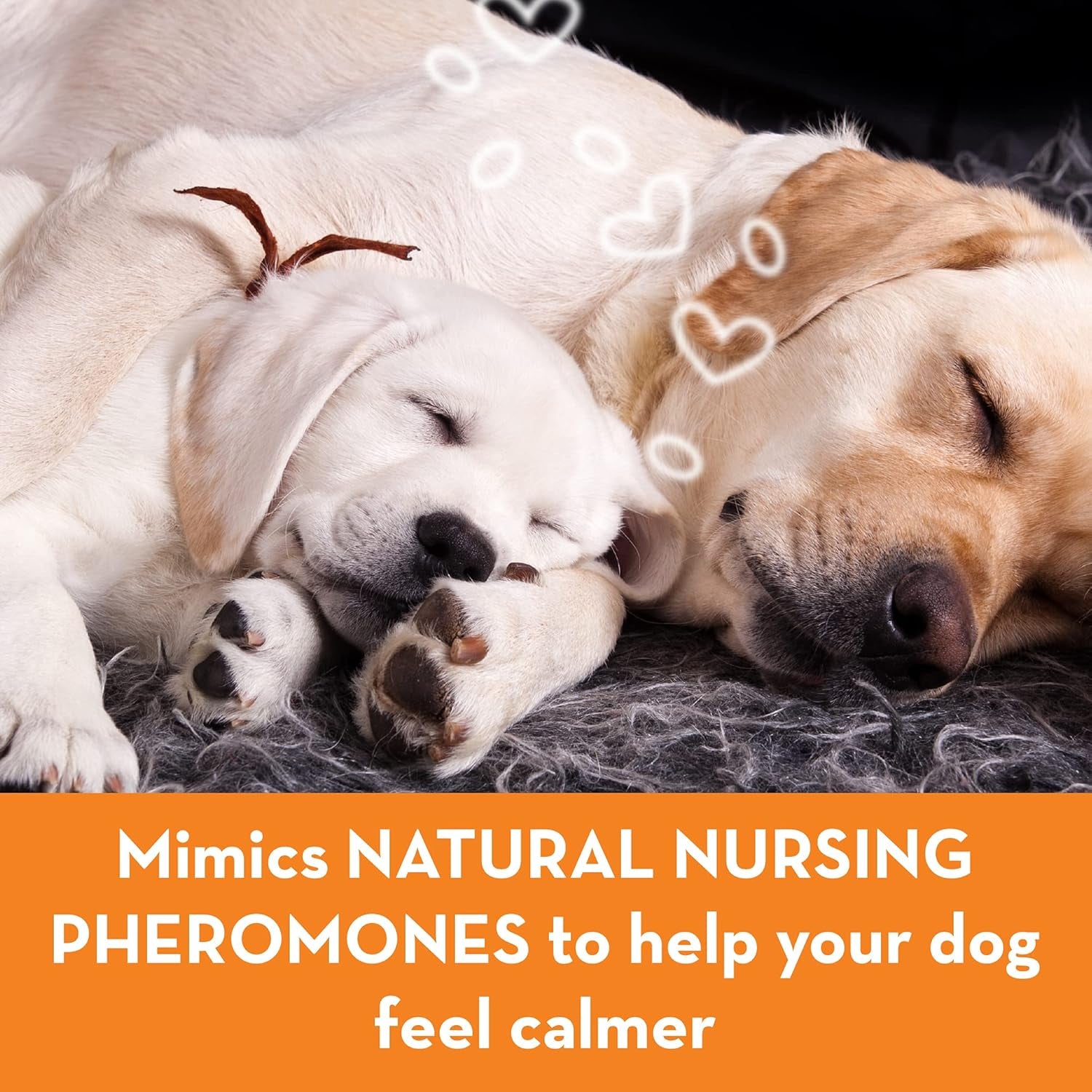 thunderease-dog-calming-pheromone-diffuser-kit-powered-by-adaptil-vet-recommended-to-relieve-separation-anxiety-stress-barking-chewing-and-fear-of-fireworks-thunderstorms-30-day-supply-vet-recommended-powered-by-adaptil-helps-separation-anxiety-stress-barking-chewing-fear-of-fireworks-thunderstorms