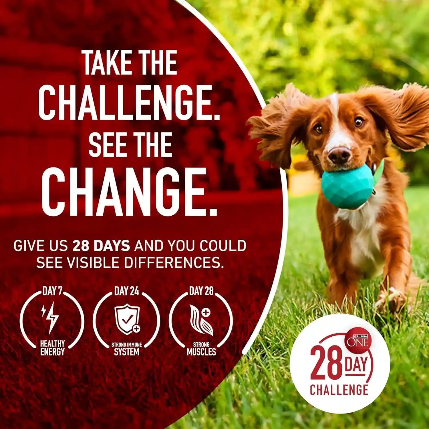 purina-one-chicken-and-rice-formula-dry-dog-food-8-lb-bag