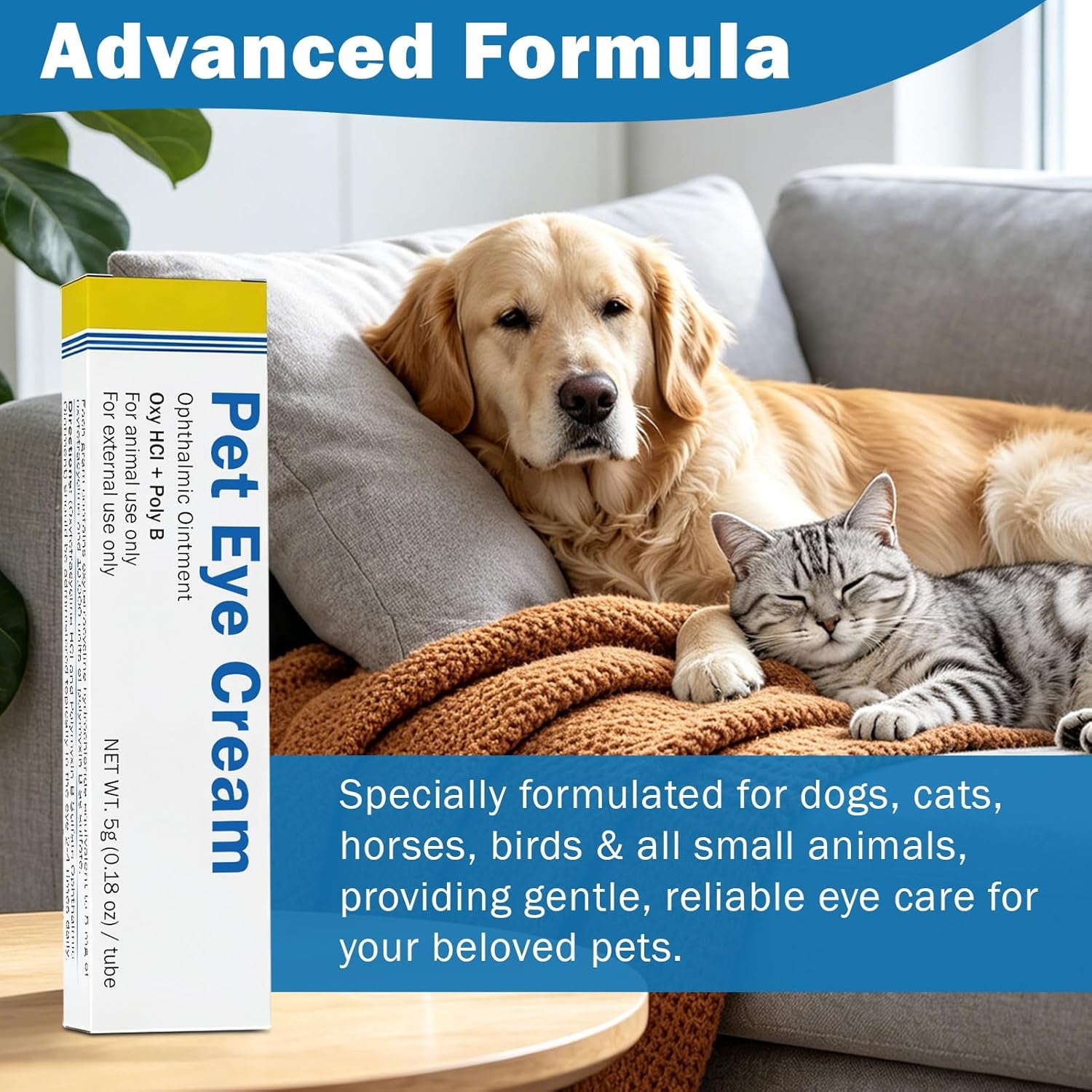 starmixus-pet-eye-ointment-soothes-irritation-discharge-tear-stains-professional-grade-eye-cream-for-cats-dogs-horses-birds-cattle-sheep-and-puppies-kitten-1-tube-5g-0-18oz