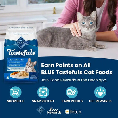 Blue Buffalo Tastefuls Kitten Food with DHA Dry Cat Food Made in the USA with Natural Ingredients, Chicken Recipe, 3-Lb. Resealable Bag3