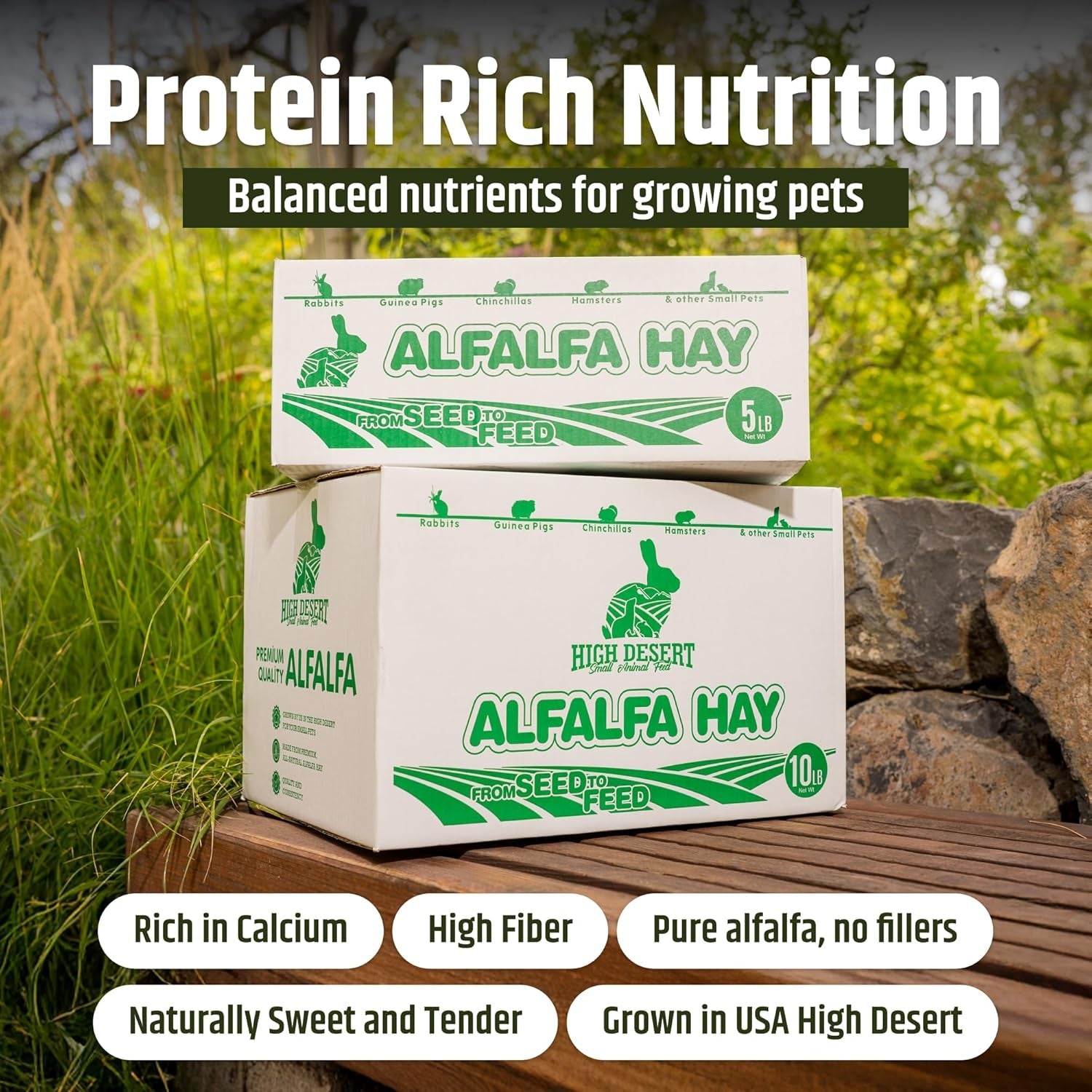 high-desert-alfalfa-hay-protein-rich-soft-leaf-food-for-young-growing-animals-natural-rabbit-food-and-guinea-pig-hay-supports-digestive-health-small-pet-supplies-fresh-hand-packed-5-lb-box-protein-rich-soft-leaf-forage-ideal-for-growing-kits-and-nursing-mothers-great-calcium-source-hand-packed-low-dust