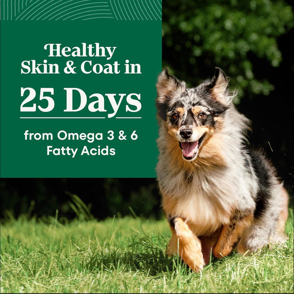 Nutro Natural Choice Adult Dry Dog Food, Chicken & Brown Rice Recipe, 30 Lb | Non-Gmo, Real Chicken #1 Ingredient, No Corn, Wheat, Soy or Chicken By-Product Meal, Supports Skin & Coat/Digestion/Immunity3