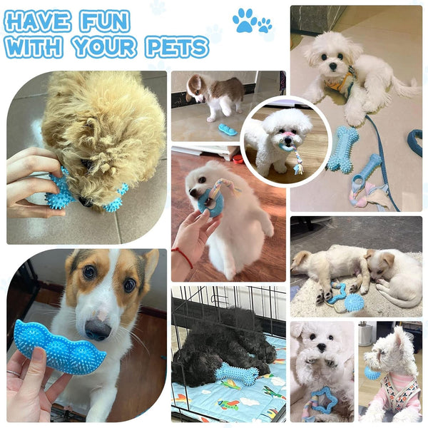 Petcare 6 Pack Puppy Chew Toys - Blue, Soft Rubber Rope & Bone Ball Teething Toys for Small Dogs & Puppies, Including Yorkie8