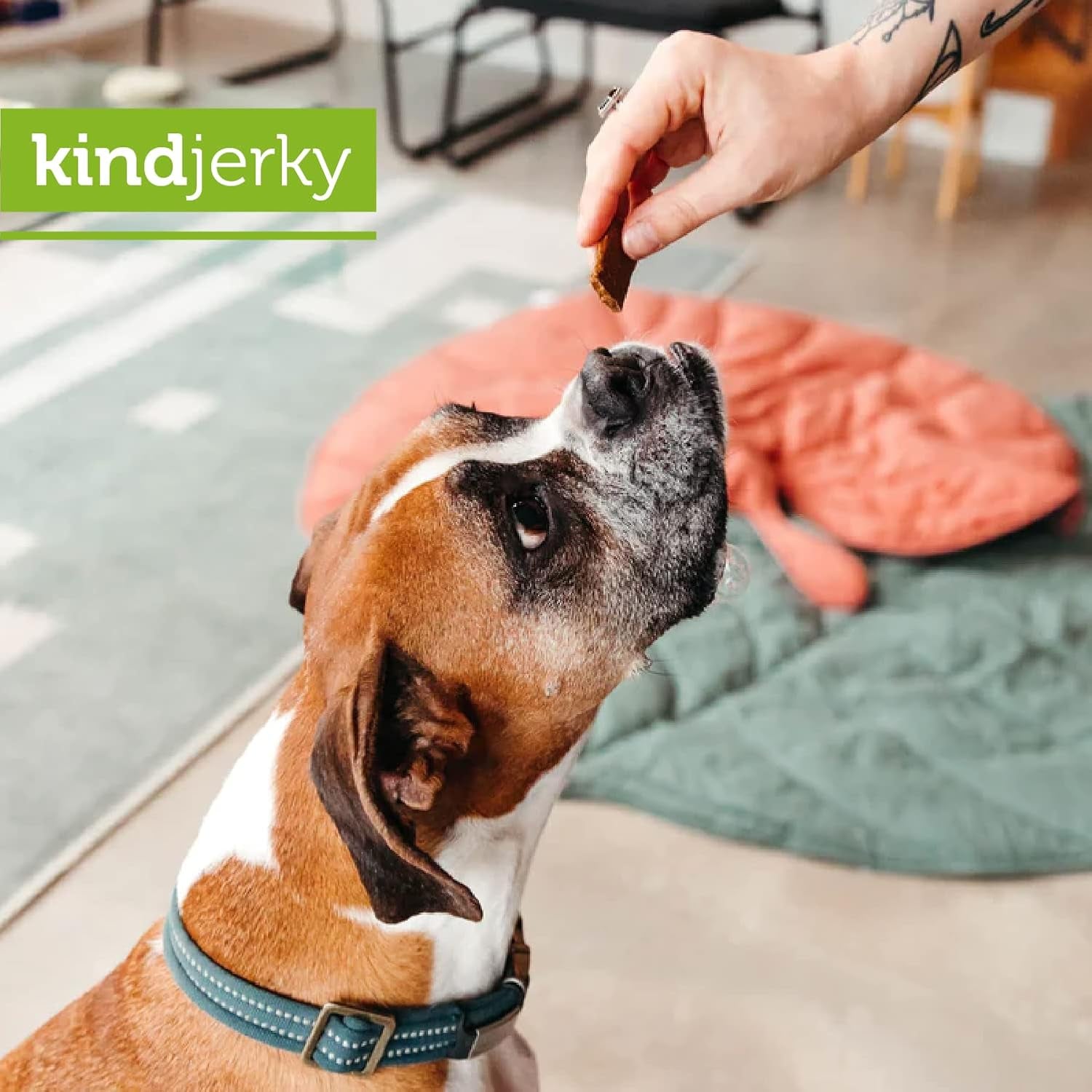 v-dog-kind-jerky-100-vegan-jerky-dog-treats-plant-based-protein-and-superfoods-8-ounce-all-natural-made-in-the-usa