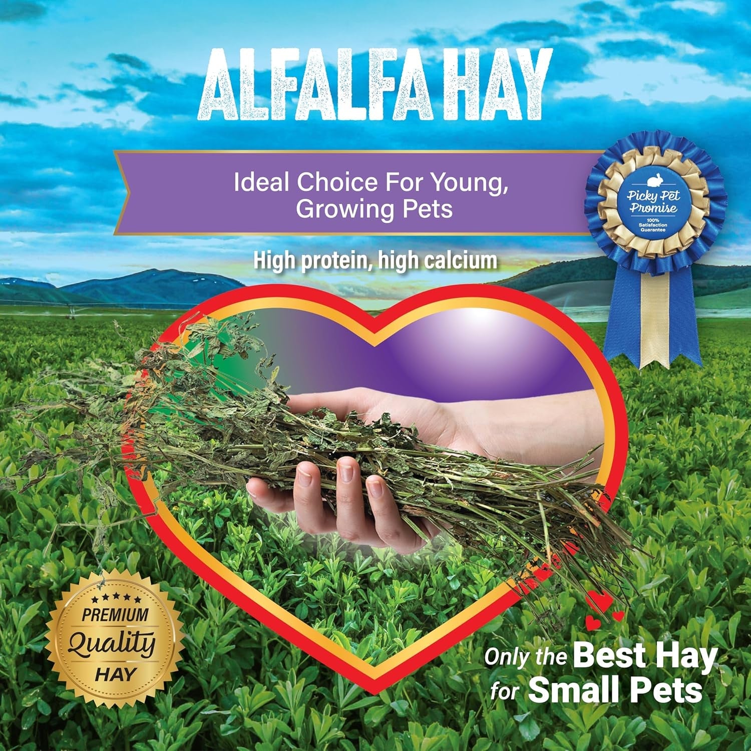 small-pet-select-alfalfa-hay-pet-food-for-young-rabbits-guinea-pigs-chinchillas-tortoises-and-other-small-animals-easy-to-store-box-5-lb