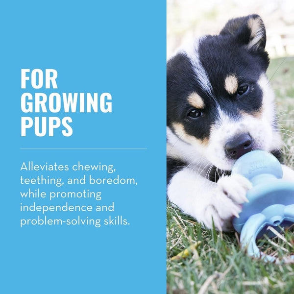 KONG Puppy Binkie - Pacifier Dog Toy for Puppies - Stuffable Treat Chew Toy for Treats - Durable Natural Rubber for Teething Puppy - for Small Puppies - Blue2