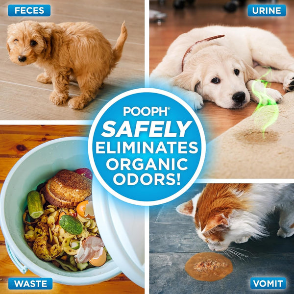 POOPH Pet Odor Eliminator Spray, 32 Oz | Unscented Pet Odor Eliminator Spray for Home Surfaces, Upholstery, Furniture, and Vehicles3