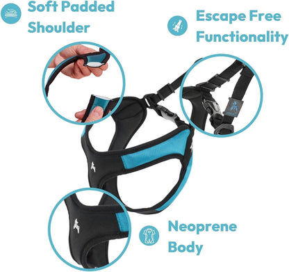 Gooby - Escape Free Easy Fit Harness, Small Dog Step-In Harness for Dogs That like to Escape Their Harness, Turquoise, Small4