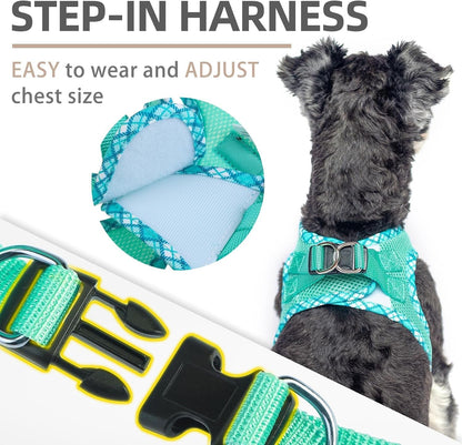 PUPTECK Dog Harness and Leash Set for Small Medium Dogs No Pull Step-In Soft Mesh Puppy Cat Vest Harnesses Reflective at Night, Green S4