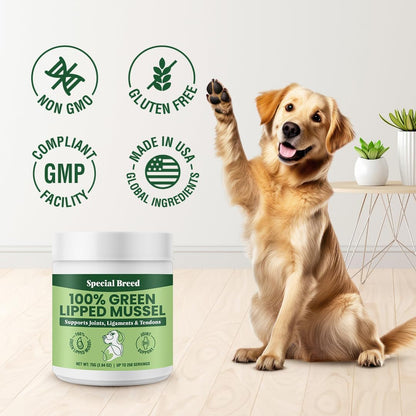 Green Lipped Mussel Powder for Dogs & Cats - 100% New Zealand Green Lipped Mussels - Natural Hip & Joint Supplement for Joints, Tendons, Ligaments, Muscles - 75 Grams - up to 250 Servings7
