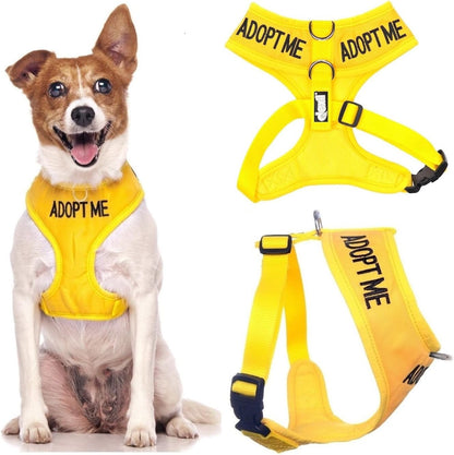 Dexil Limited Adopt ME (I Need a New Home) Yellow Color Coded Non-Pull Front and Back D Ring Padded and Waterproof Vest Dog Harness Prevents Accidents by Warning Others of Your Dog in Advance (S)1