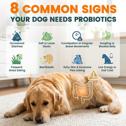 Probiotics for Dogs, Gut Health for Digestive Enzymes, 200 Chews | All Natural Probiotic Blend to Support Yeast, Itchy Skin and Itchy Ears, Allergies, Immunity, Diarrhea & Gas Relief, Chicken4