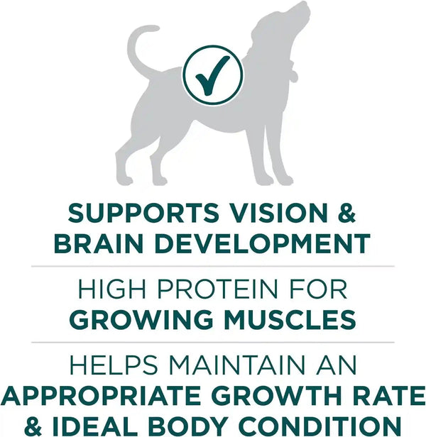 Purina ONE plus Puppy Dry Dog Food for Large Dogs High Protein Growth Support, Real Chicken - 31.1 Lb Bag5
