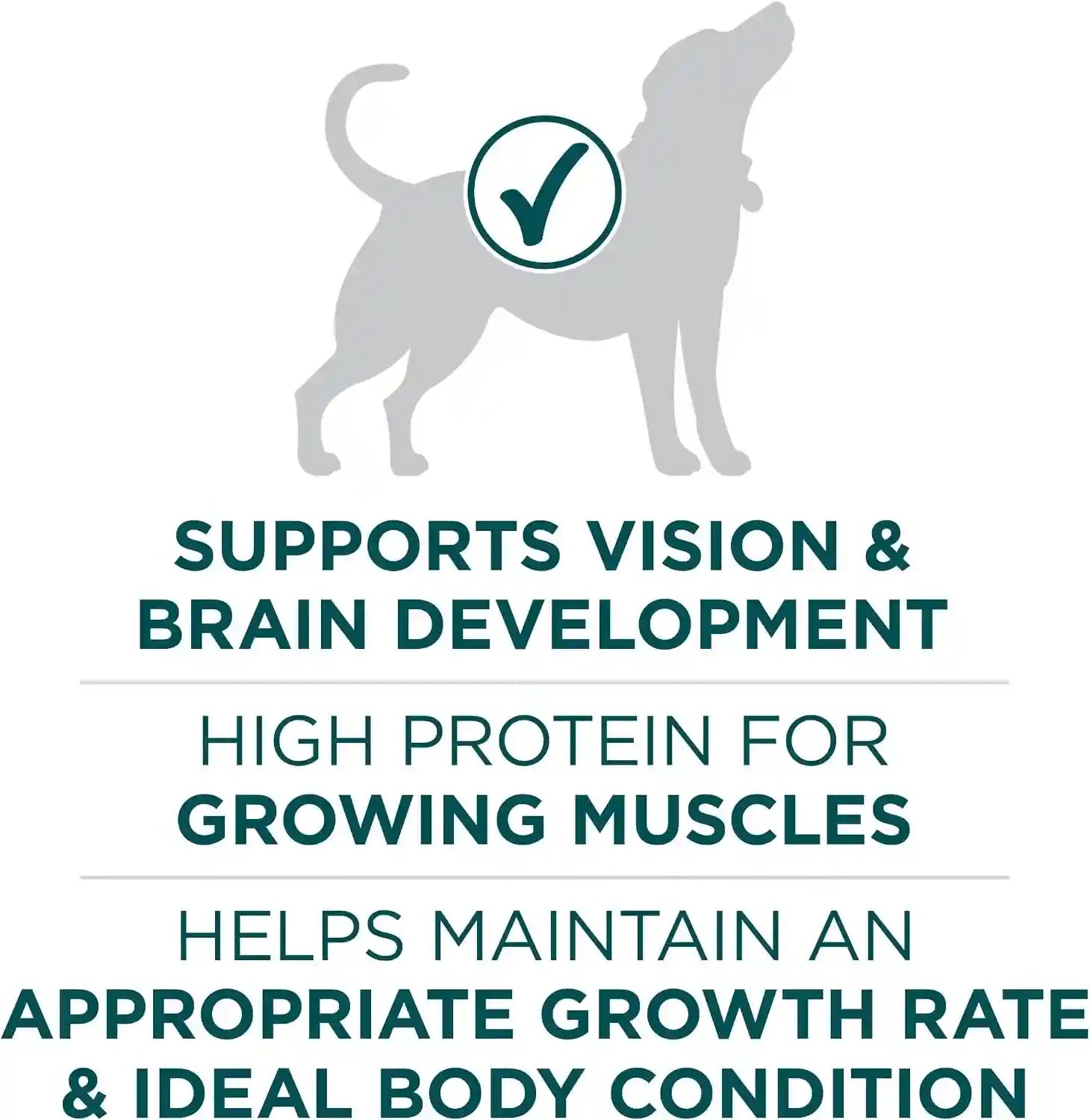purina-one-plus-puppy-dry-dog-food-for-large-dogs-high-protein-growth-support-real-chicken-31-1-lb-bag