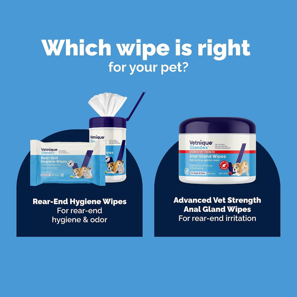 Vetnique Glandex Rear End Wipes for Dogs & Cats, Anal Gland Hygiene | Deodorizing Dog & Cat Wipes for Paws & Butt, Boot the Scoot with Deoplex Enzyme, Aloe & Vitamin E, Alcohol Free, 75Ct4
