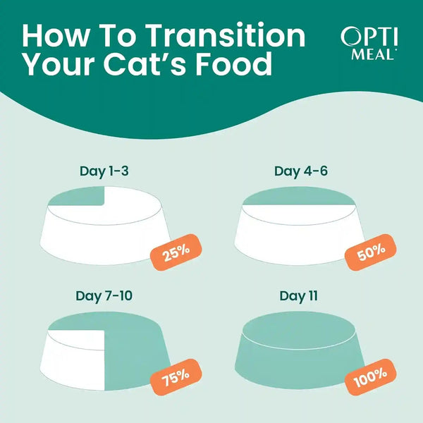 Optimeal Wet Cat Food Variety Pack - Grain Free Tender Morsels, High Protein Premium Nutrition Made with Natural European Ingredients in Savory Gravy, Adult Cat Food Wet Pouches 3Oz Pouch (Pack of 12)2
