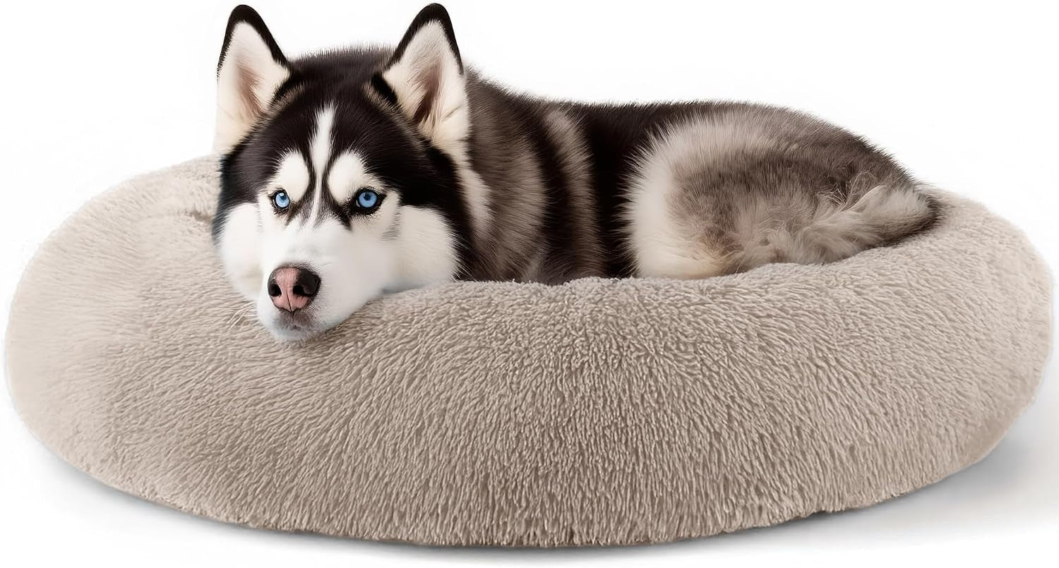 hoewina-dog-cat-bed-for-indoor-cats-20in-calming-donut-bed-for-puppy-and-kitten-washable-round-fluffy-pet-bed-for-small-medium-dogs-and-cats-light-grey