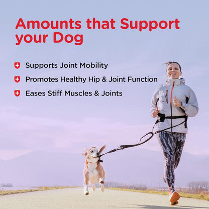 Nutri-Vet Hip & Joint Dog Biscuits, Dog Treats, 300Mg Glucosamine, 6 Lb Bag | Joint Supplement for Dogs, Hip & Joint Support, Functional Treats, Large Dog Biscuits, Chondroitin, Mobility Support4