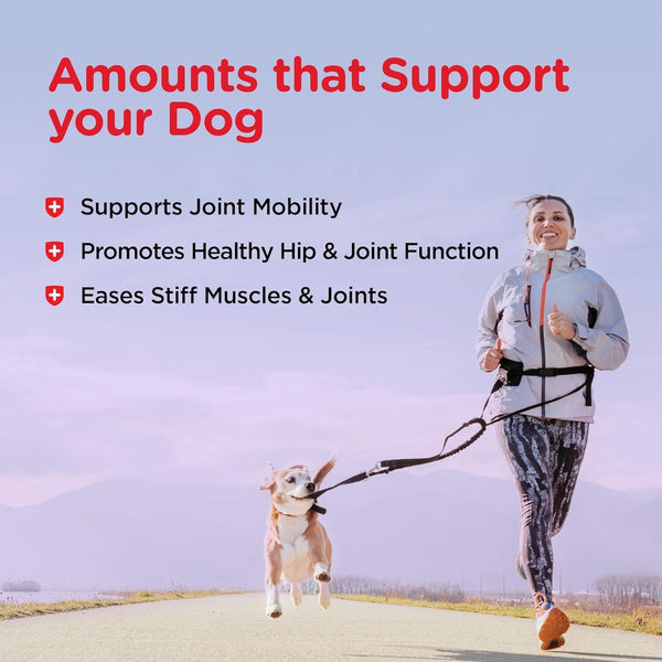Nutri-Vet Hip & Joint Dog Biscuits, Dog Treats, 300Mg Glucosamine, 6 Lb Bag | Joint Supplement for Dogs, Hip & Joint Support, Functional Treats, Large Dog Biscuits, Chondroitin, Mobility Support4