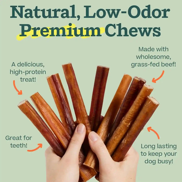 WOOF Bully Sticks Dog Treats - Chew Sticks for Dogs - Long-Lasting Dog Chew Treats - Made with Free-Range, Grass-Fed Beef - 6" Sticks - 10Pk5