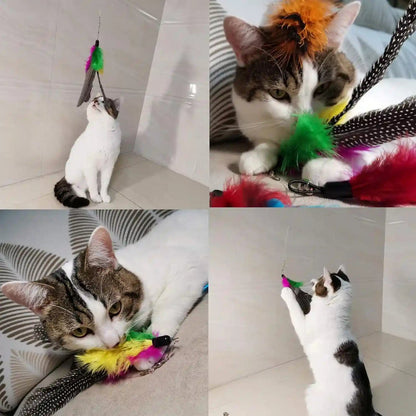 Cat Feather Toys Refills, 10 Pieces Worms Feathers Refills, Cat Wand Replacement Feathers Toy for Indoor Cats2