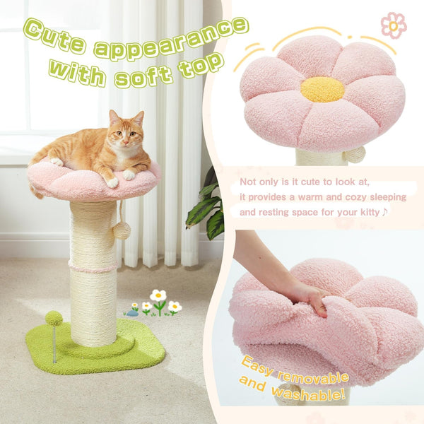 PEQULTI Flower Cat Scratching Post, Super Thick 5.5In Sisal Post, Pink | Small Cat & Kitten Scratcher: Removable Flower Bed, Sisal + Spring Ball, Enlarged Double Base; Cute Pink Flower Cat Tree2